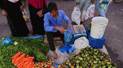 Polythene ban: Use is not stopped, lack of authorities monitoring