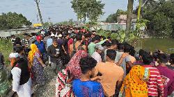 Five killed in Faridpur as train hits microbus on level crossing