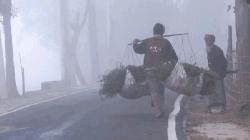 Tetulia records season’s lowest temperature at 7.3 degrees