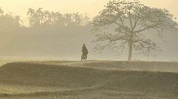 Mild cold wave sweeping two districts