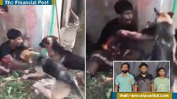 3 held over torturing youth by unleashing dogs in Cumilla