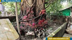 Kathin Chibar Dan robe of Buddhist temple torched, one arrested in Ctg