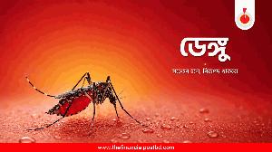 Dengue: 8 more die, 1,782 hospitalised in 24 hrs