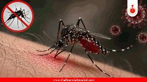 10 die of dengue in a day